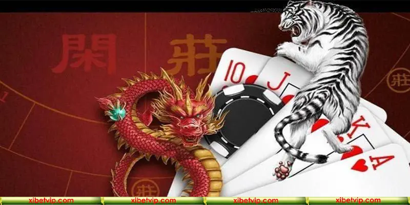 Chi tiết từ A đến Z luật chơi Rồng Hổ vô cùng dễ hiểu